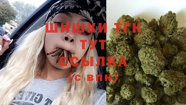 дживик Горнозаводск