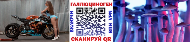 Псилоцибиновые грибы GOLDEN TEACHER  Купить где  Балабаново 